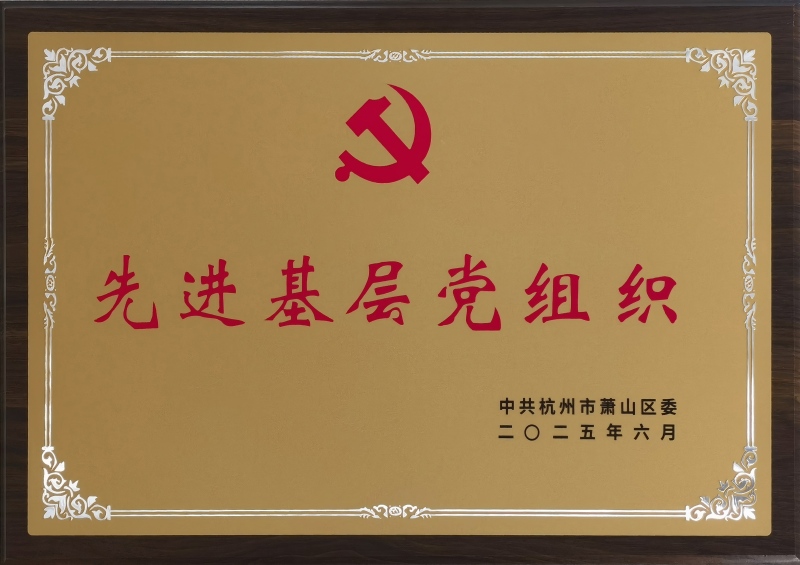 区级先进党组织(1)2.jpg